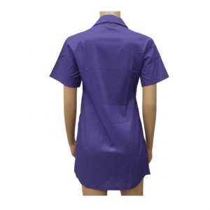 Gemini_Generated_Image_1p0nom1p0nom1p0n